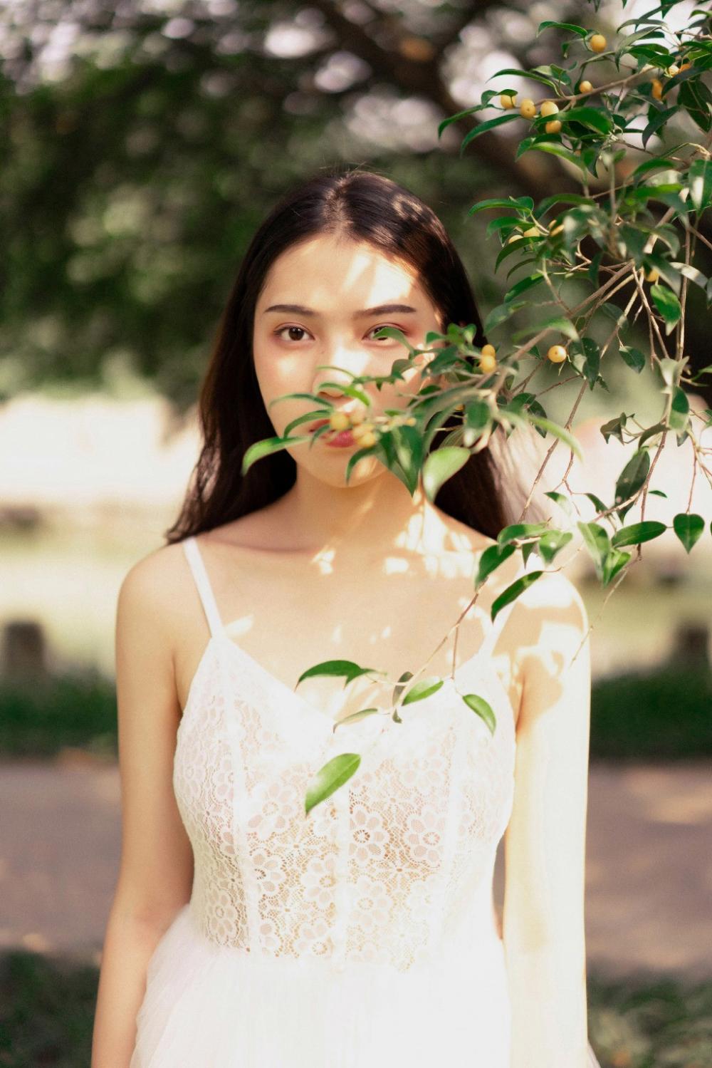 狐假虎威续写作文